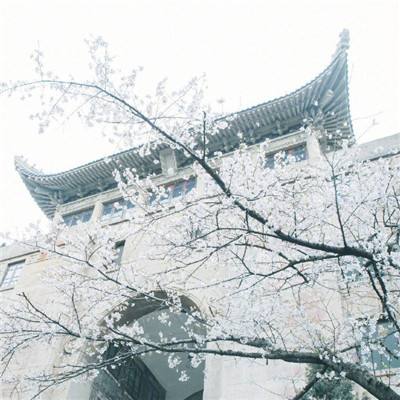 三国大武将官方下载