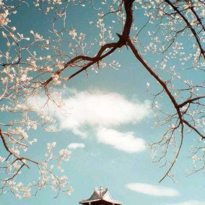 小老弟对决最新版(暂未上线)v1.5 安卓版
